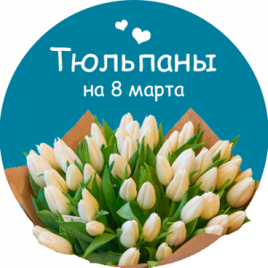 Купить тюльпаны в Свирске